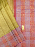 Elegant Tissue Sari with Vibrant Multicolor Traditional Border